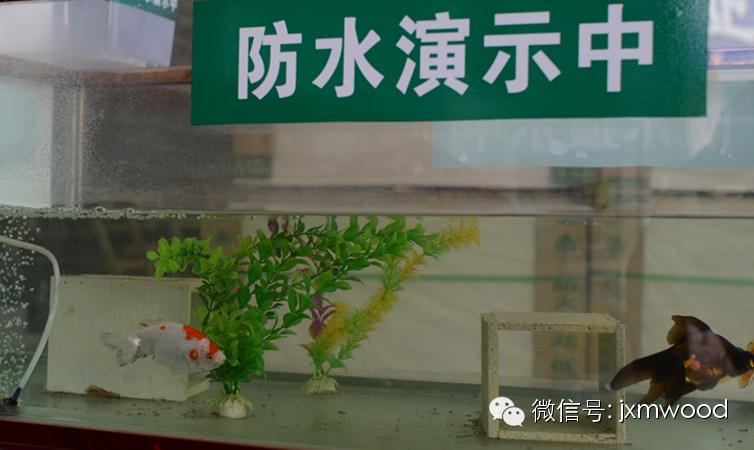 1462953626918169.jpg 環保板材品牌家湘美廚衛專用生態板.jpg