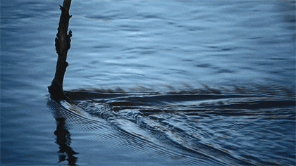 1469169646743287.gif 板材十大品牌家湘美.gif