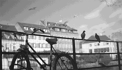 1469169665332764.gif 生態板十大品牌家湘美.gif