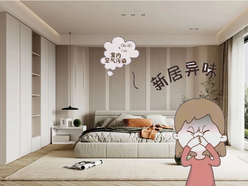 1763427059156721.jpg 11.18.1.jpg